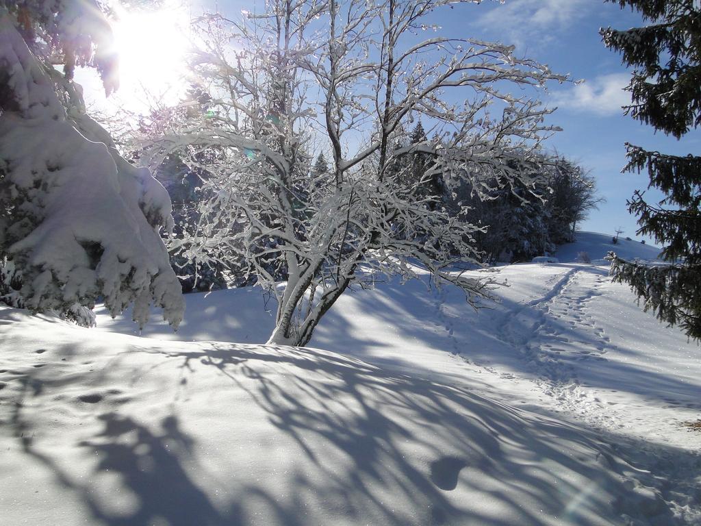 Hotel Notre Dame Des Neiges La Feclaz Ngoại thất bức ảnh